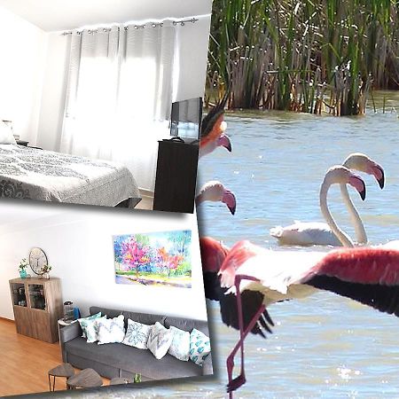 Duplex En Delta De L'Ebre Con Dos Terrazas Y Balcon Daire Deltebre Dış mekan fotoğraf