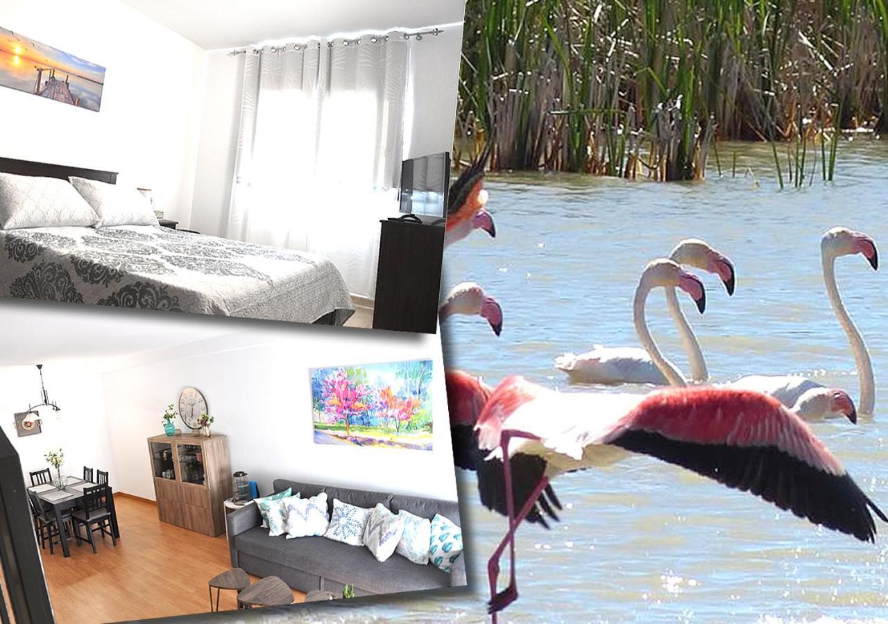 Duplex En Delta De L'Ebre Con Dos Terrazas Y Balcon Daire Deltebre Dış mekan fotoğraf